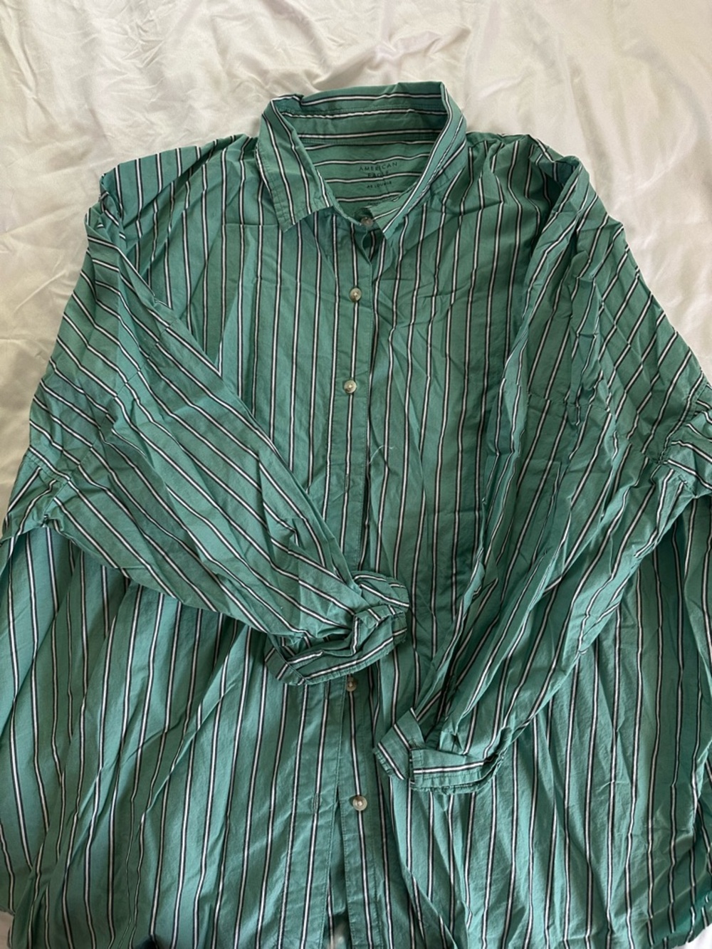 American Eagle Outfitters Teal and White Striped Button-Down Shirt